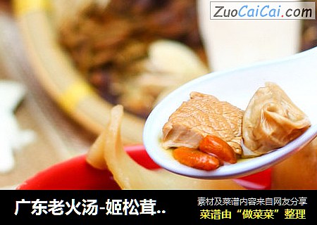 广东老火汤-姬松茸花胶西施汤