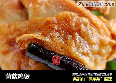 菌菇鸡煲