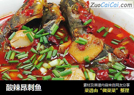 酸辣昂刺鱼