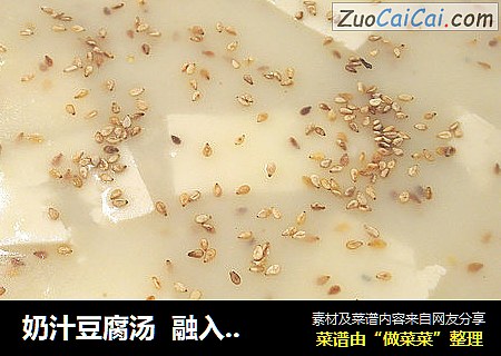 奶汁豆腐汤  融入一座城市美味