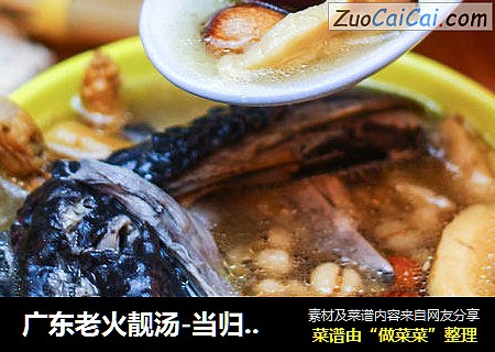 广东老火靓汤-当归党参乌鸡汤