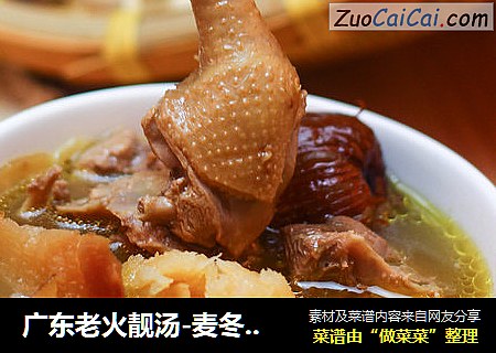广东老火靓汤-麦冬枸杞鸽子汤