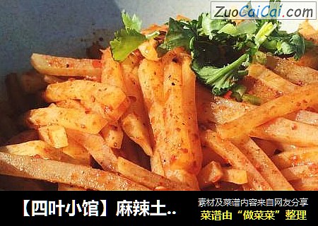 【四叶小馆】麻辣土豆丝