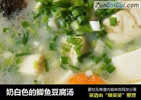 奶白色的鲫鱼豆腐汤
