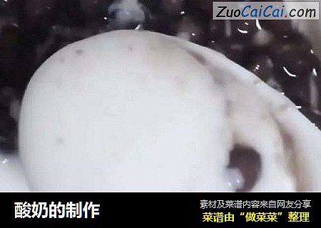 酸奶的制作