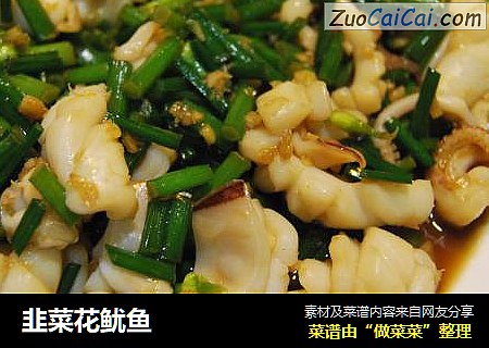 韭菜花鱿鱼