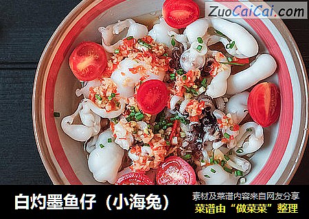 白灼墨鱼仔（小海兔）