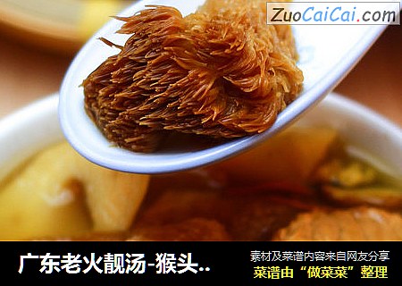 广东老火靓汤-猴头菇虫草花竹笙汤