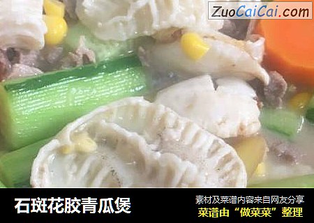 石斑花胶青瓜煲