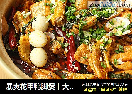 暴爽花甲鸭脚煲丨大嘴螺