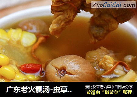 广东老火靓汤-虫草花干贝玉米汤
