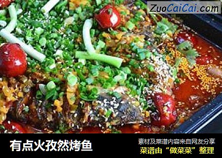 有点火孜然烤鱼