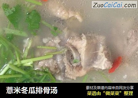 薏米冬瓜排骨汤