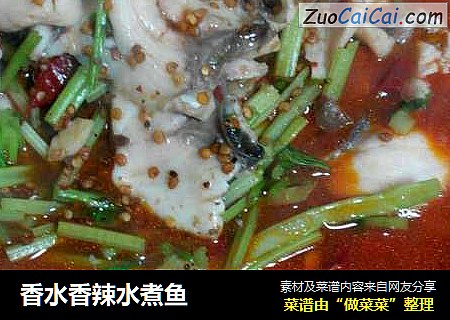 香水香辣水煮鱼