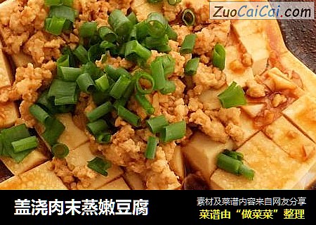 盖浇肉末蒸嫩豆腐
