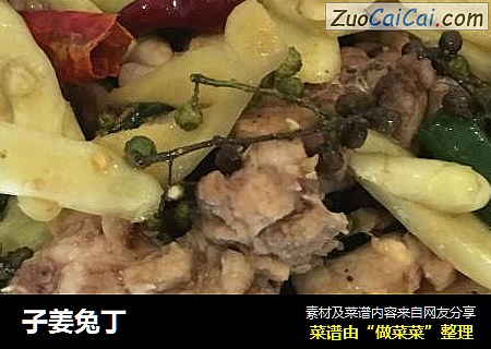 子姜兔丁