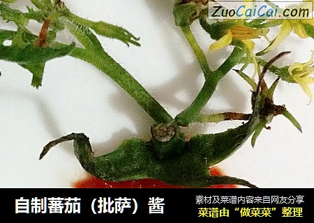 自制蕃茄（批萨）酱
