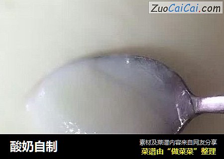 酸奶自制
