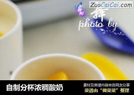 自制分杯浓稠酸奶