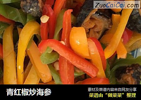 青红椒炒海参