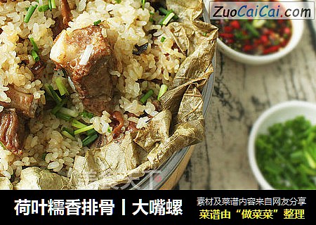 荷叶糯香排骨丨大嘴螺