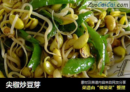 尖椒炒豆芽