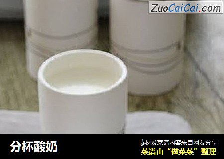 分杯酸奶