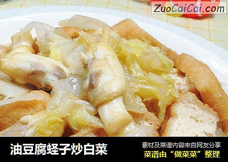 油豆腐蛏子炒白菜