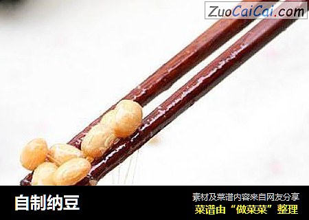 自制纳豆