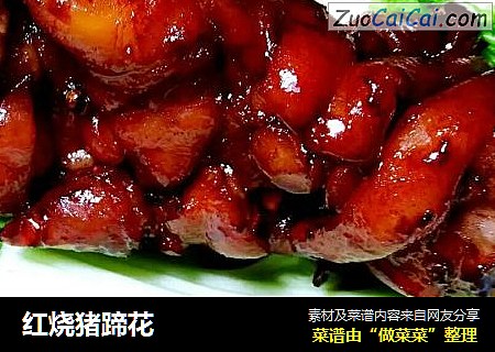 红烧猪蹄花