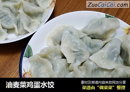 油麦菜鸡蛋水饺
