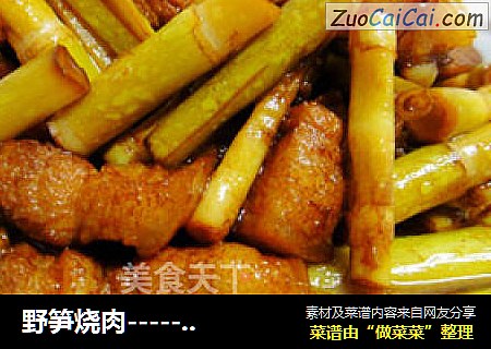野笋烧肉----------------鲜野笋的终结篇