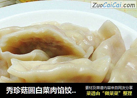 秀珍菇圆白菜肉馅饺子 