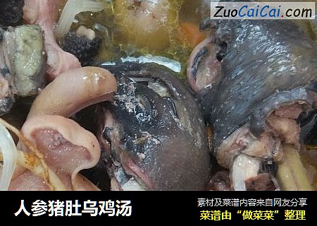 人参猪肚乌鸡汤