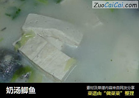 奶汤鲫鱼