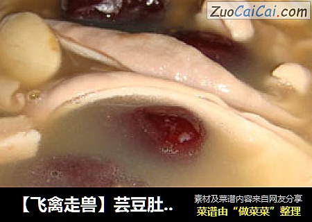 【飞禽走兽】芸豆肚片汤