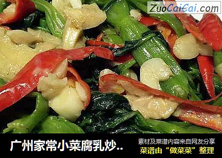 广州家常小菜腐乳炒通心菜#肉肉厨