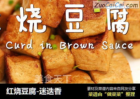 红烧豆腐-迷迭香