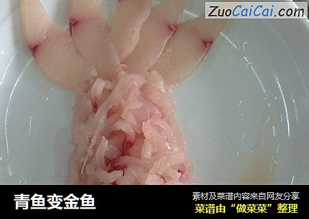 青鱼变金鱼