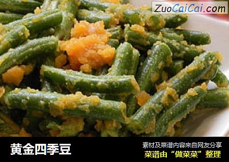 黄金四季豆