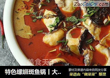 特色螺蛳斑鱼锅丨大嘴螺