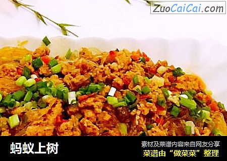 蚂蚁上树