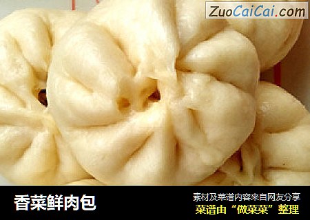 香菜鲜肉包