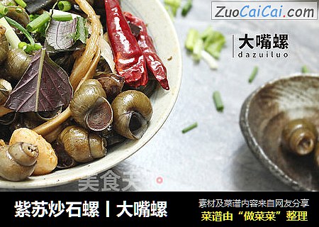 紫苏炒石螺丨大嘴螺