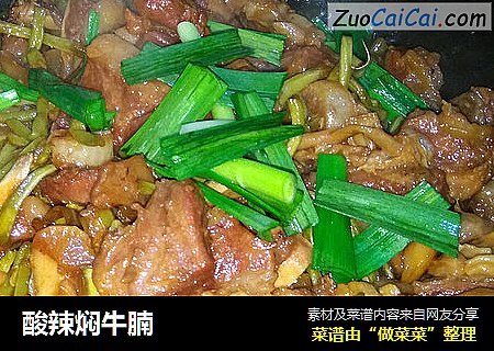 酸辣焖牛腩