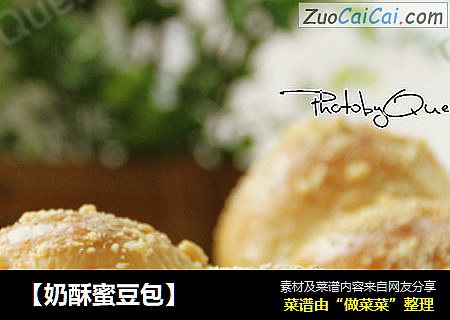 【奶酥蜜豆包】