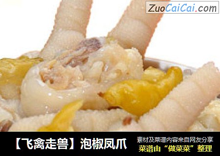 【飞禽走兽】泡椒凤爪