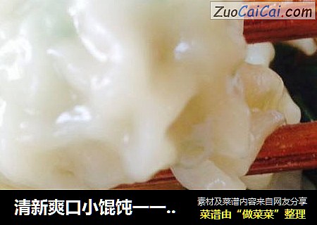 清新爽口小馄饨一一猪肉香葱馅