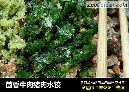 茴香牛肉猪肉水饺