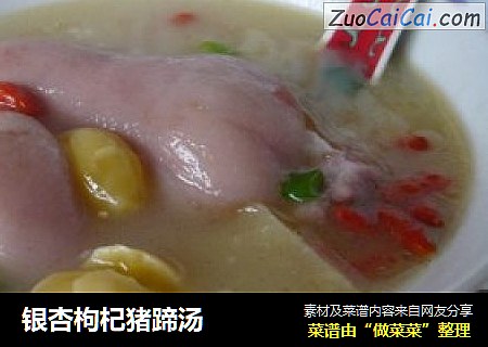 银杏枸杞猪蹄汤